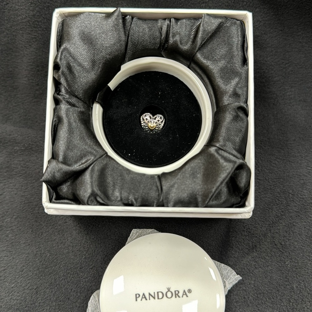 *NEW* Pandora Heart Charm